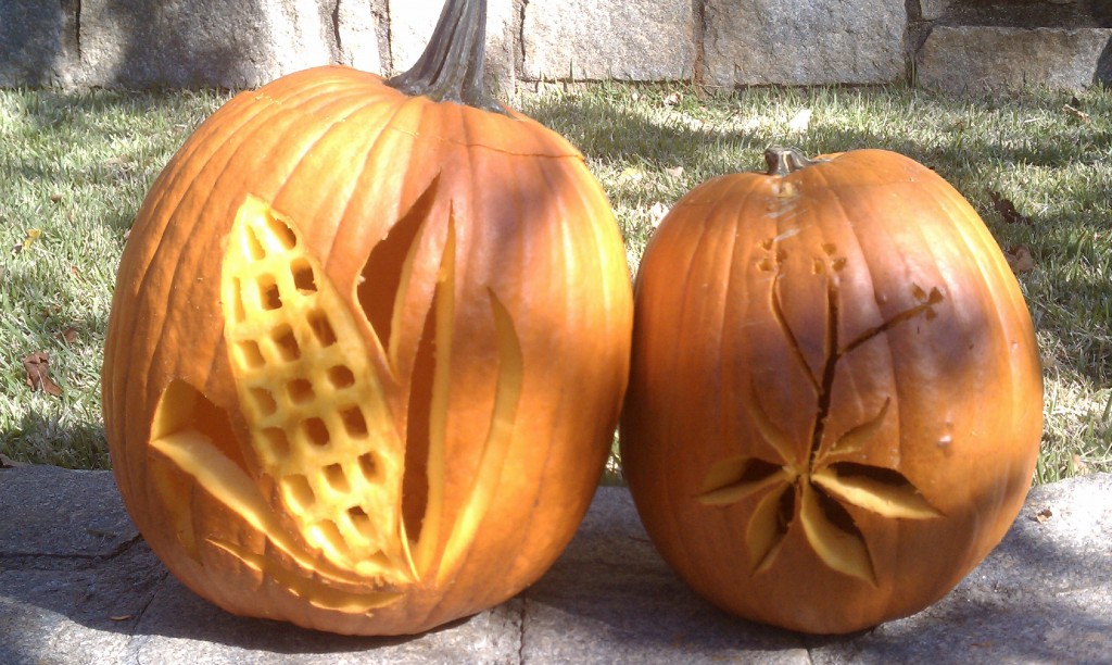 corn arabidposis pumpkins