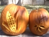 1-corn-arabidposis-pumpkins